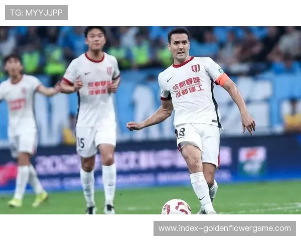 成都蓉城官宣欧冠级中卫，亚冠精英联赛备战进行中